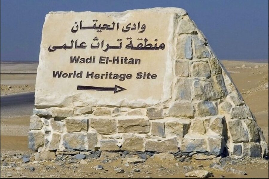 From Cairo: Whale Valley and Wadi El Rayan Waterfalls Tour - Desert lakes, whale fossils, and the biggest falls in Fayoum