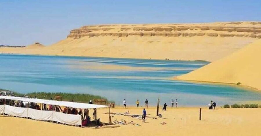 From Cairo: Whale Valley and Wadi El Rayan Waterfalls Tour - Cairo pickup and the 4x4 off-road ride