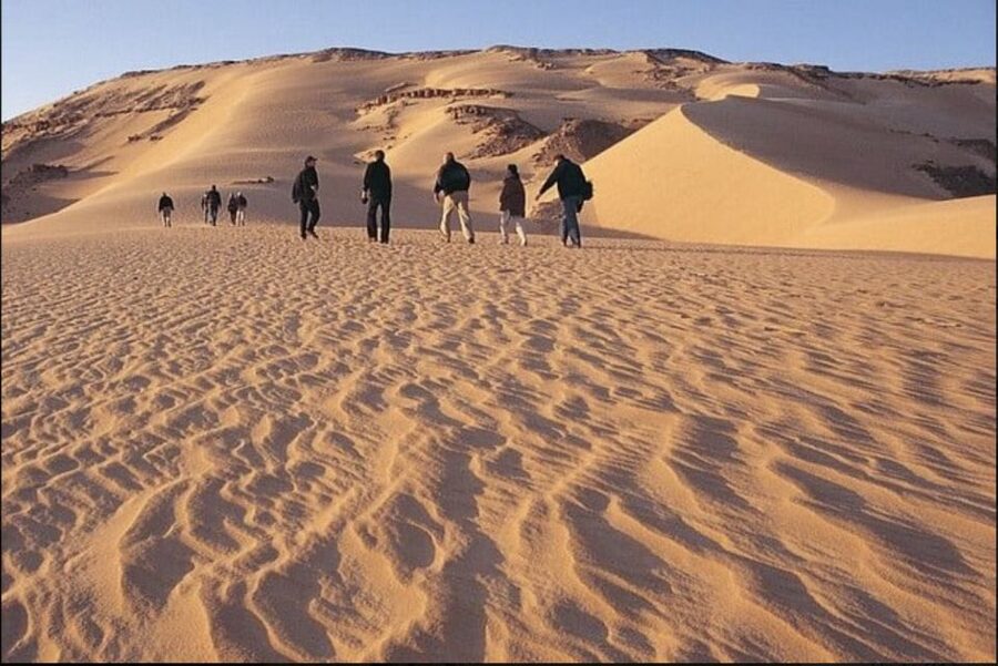 From Cairo: Whale Valley and Wadi El Rayan Waterfalls Tour - Tunis Village and Qarun Lake, where saltwater history starts