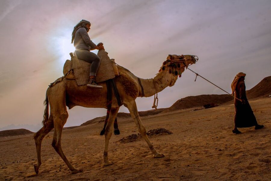 From El Gouna: Dry Canyon Quad Bike Morning Tour - The Final Desert Ride Back: Thrill Time Without the Pressure