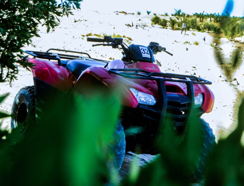 From El Gouna: Dry Canyon Quad Bike Morning Tour - Should You Book This Dry Canyon Quad Bike Morning Tour?