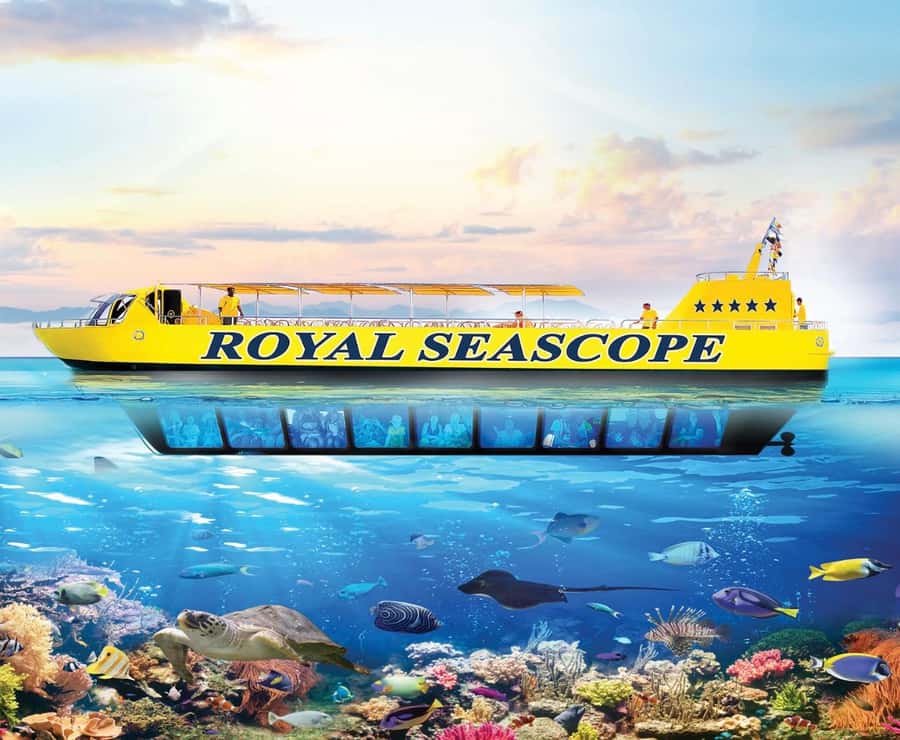From El Gouna: Royal Seascope Submarine with Snorkel Stop - Underwater observation deck: the best part for comfort
