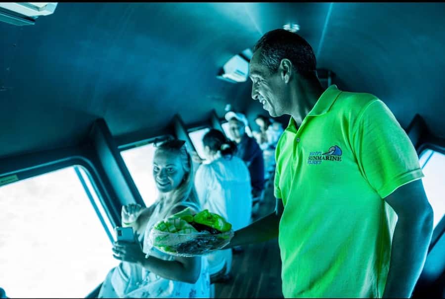 From El Gouna: Royal Seascope Submarine with Snorkel Stop - Marine life expectations: fish likely, dolphins not guaranteed
