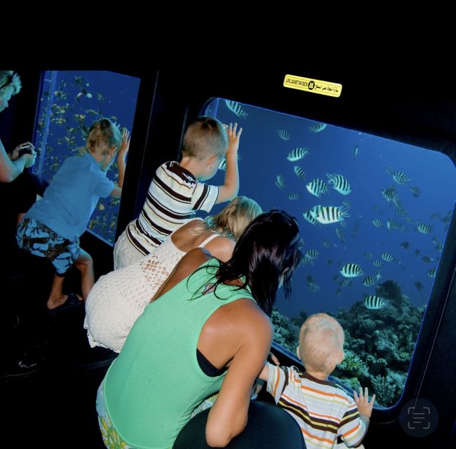 From El Gouna: Royal Seascope Submarine with Snorkel Stop - Price and value: $18 plus the El Gouna transfer