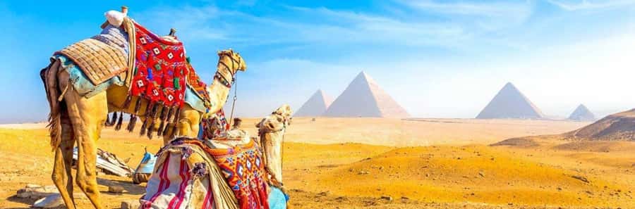 From Giza: Day tour to Giza Pyramids Tour with Pickup - Great Pyramid visit: what 2 guided hours actually gives you