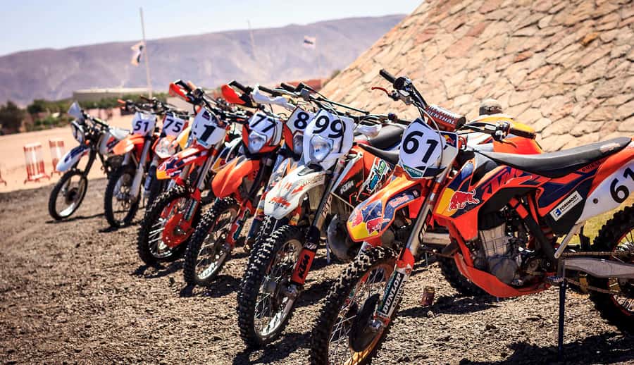 From Hurghada: El Gouna Quad and MX Bike Safari Tour - FAQ