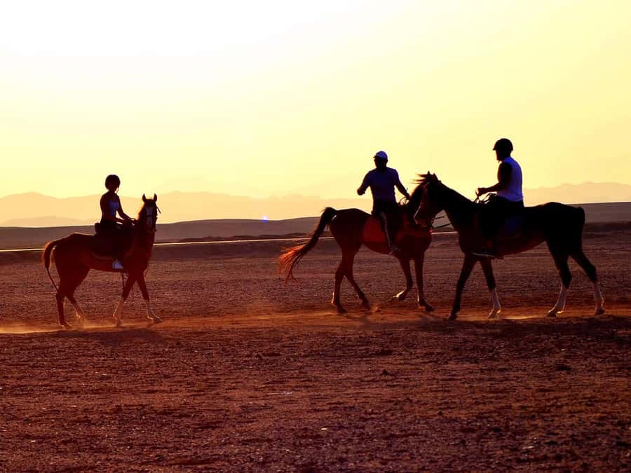 From Hurghada: Makadi Bay Horse Riding Tour - Key things I’d plan around before you book