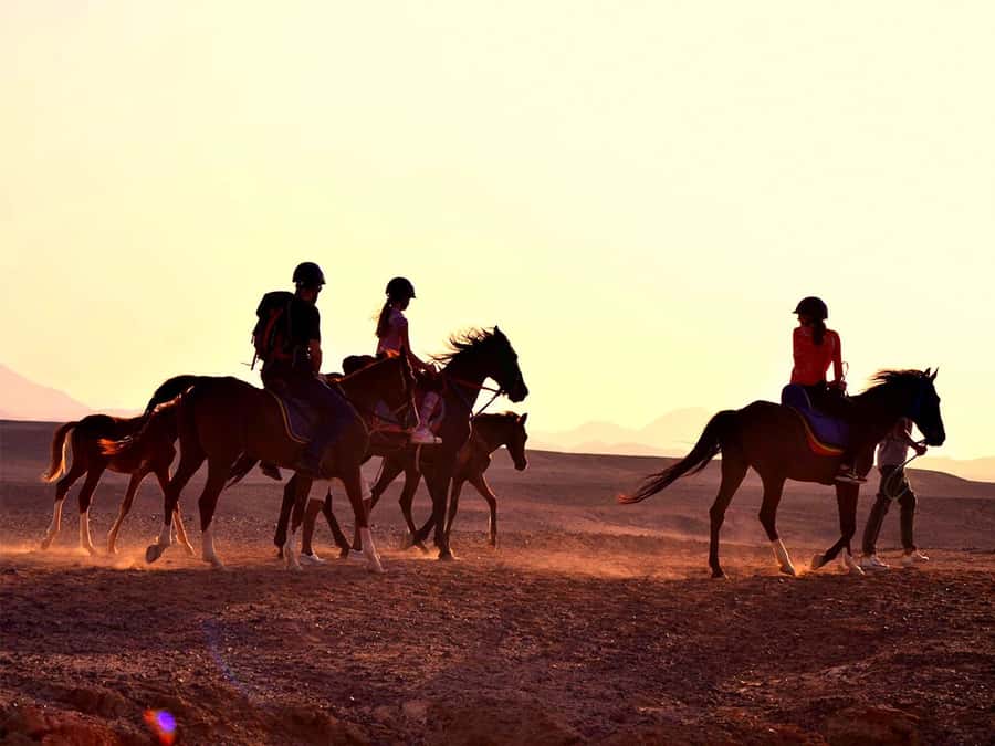 From Hurghada: Makadi Bay Horse Riding Tour - Getting to Makadi Bay: pickup timing, transfer time, and what it changes