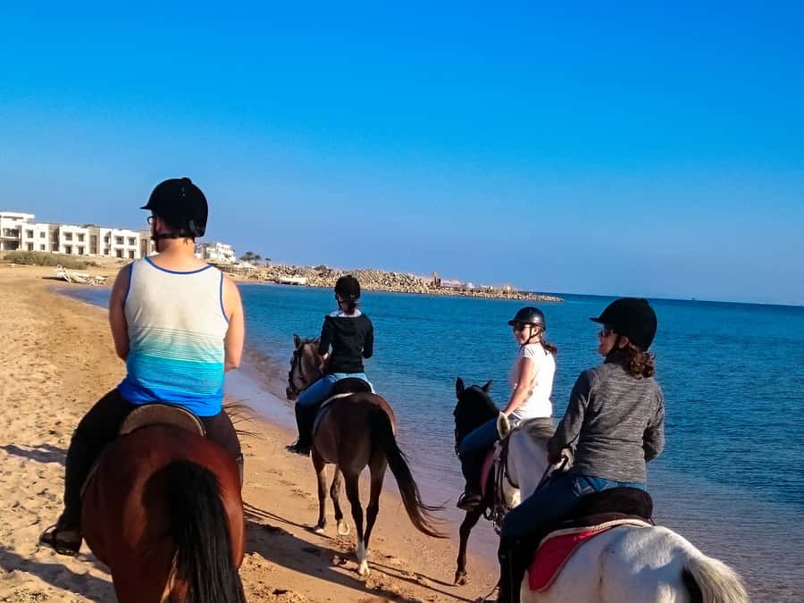 From Hurghada: Makadi Bay Horse Riding Tour - Two-hour ride: desert sand valleys and a Red Sea shoreline you can feel