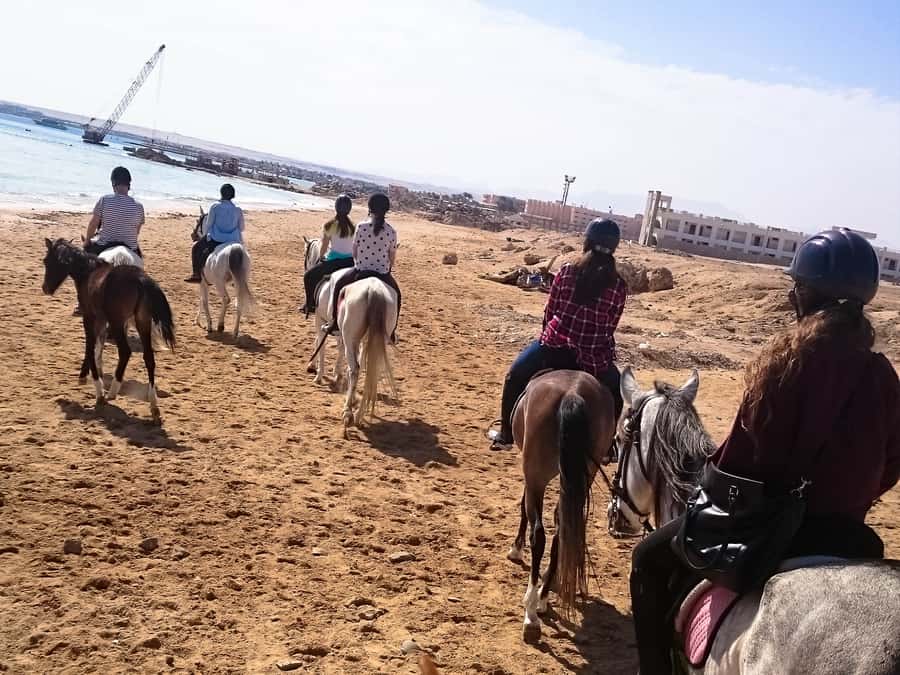 From Hurghada: Makadi Bay Horse Riding Tour - Swim stop VIP 4-hour plan: what you’re really paying for