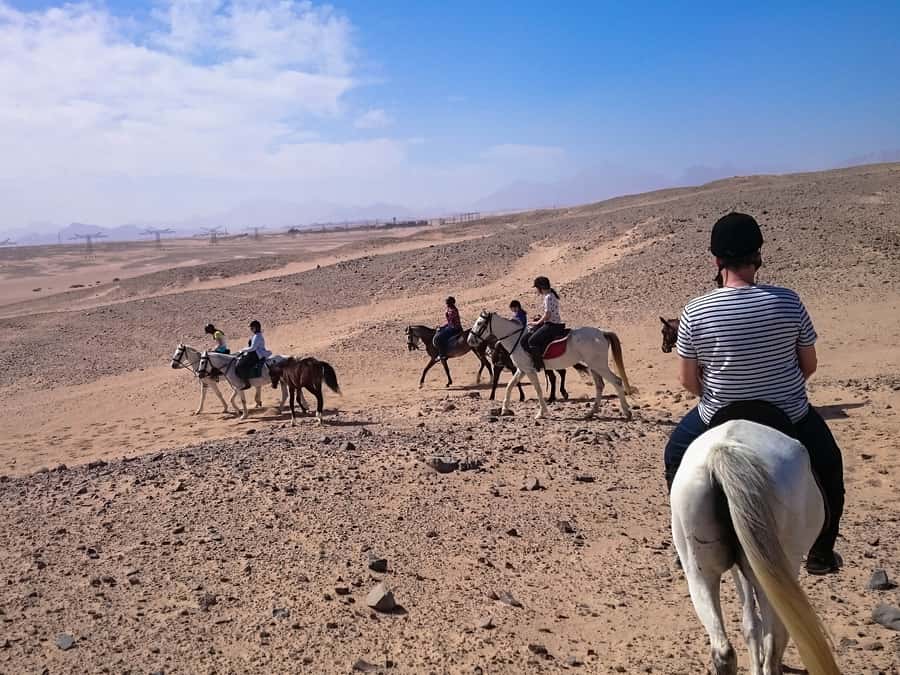 From Hurghada: Makadi Bay Horse Riding Tour - Sunset ride with dinner, show, and desert stargazing