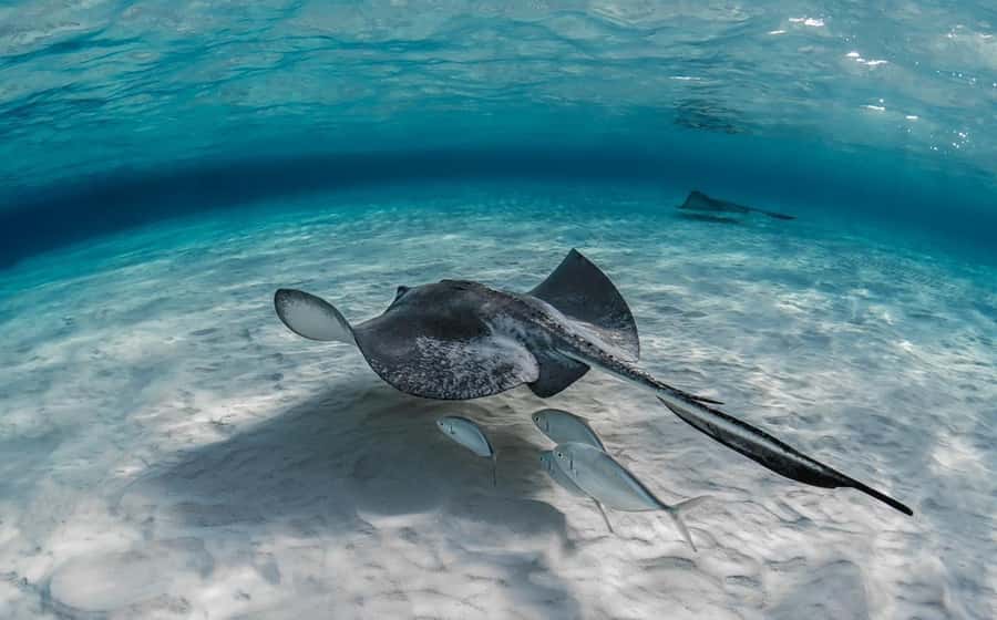 From Hurghada: Orange bay Snorkeling Cruise with Lunch - What to bring for a comfortable day on the water