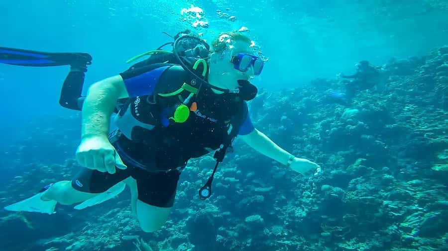 From Hurghada: Orange bay Snorkeling Cruise with Lunch - Orange Bay and Giftun Island, a smart 6-hour reef plan