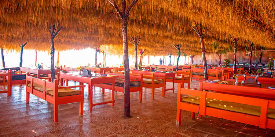 From Hurghada: Paradise Island Snorkeling Cruise with Lunch - Lunch on Paradise Island: included, practical, and filling