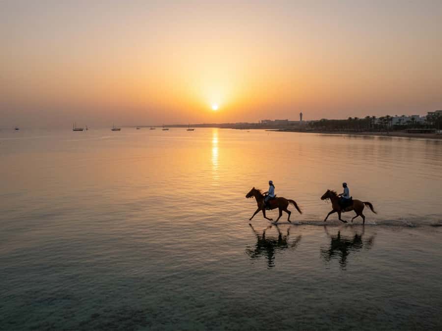 From Hurghada: Red Sea Sunrise and Desert Horseback Riding - Key Highlights You’ll Feel Immediately