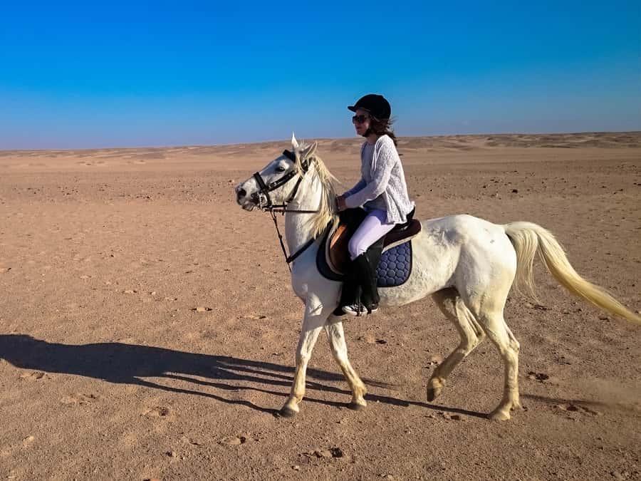 From Hurghada: Red Sea Sunrise and Desert Horseback Riding - The 15-Minute Arrival Break: What Happens Before You Ride