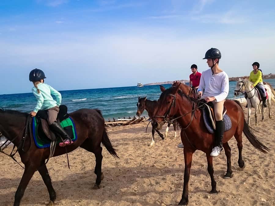 From Hurghada: Red Sea Sunrise and Desert Horseback Riding - Riding for Real: Desert Plains, Valleys, and the Sea Edge