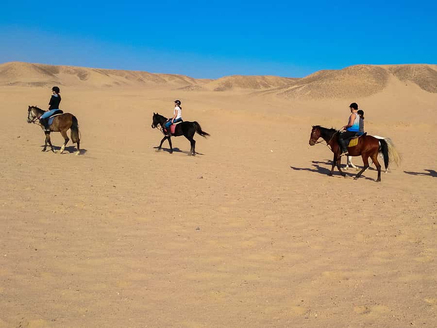From Hurghada: Red Sea Sunrise and Desert Horseback Riding - Photos, Video, and Guides Who Actually Help