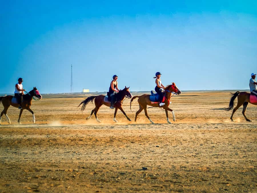 From Hurghada: Red Sea Sunrise and Desert Horseback Riding - What to Bring for a Comfortable Ride