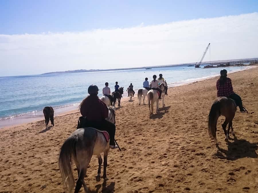 From Hurghada: Red Sea Sunrise and Desert Horseback Riding - Price and Value: Is $29 a Good Deal?