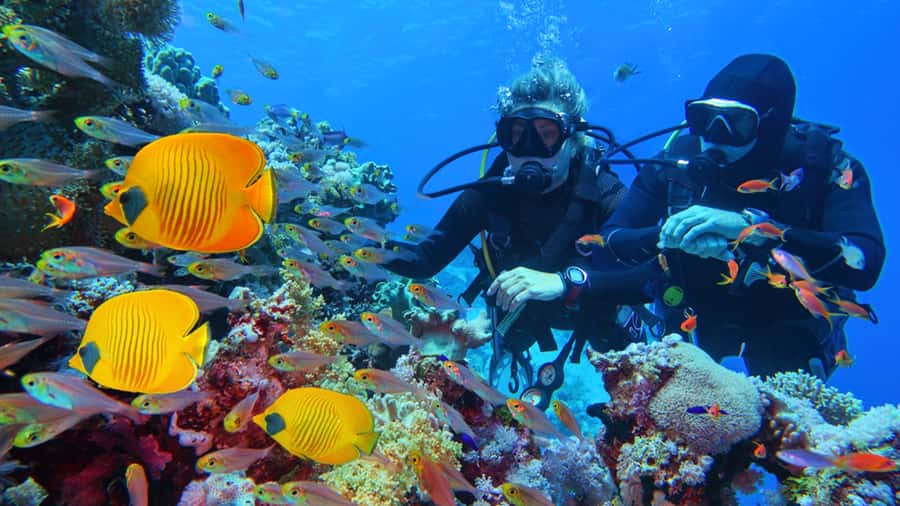 From Hurghada: Scuba Diving with Expert Guide & 2 Dives - Key highlights worth knowing