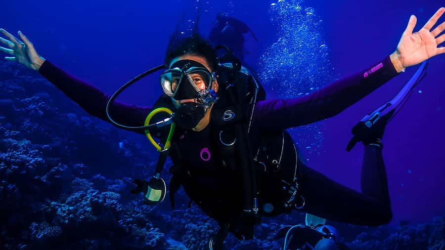 From Hurghada: Scuba Diving with Expert Guide & 2 Dives - What you’ll actually see: coral, schools of fish, and hope for wildlife