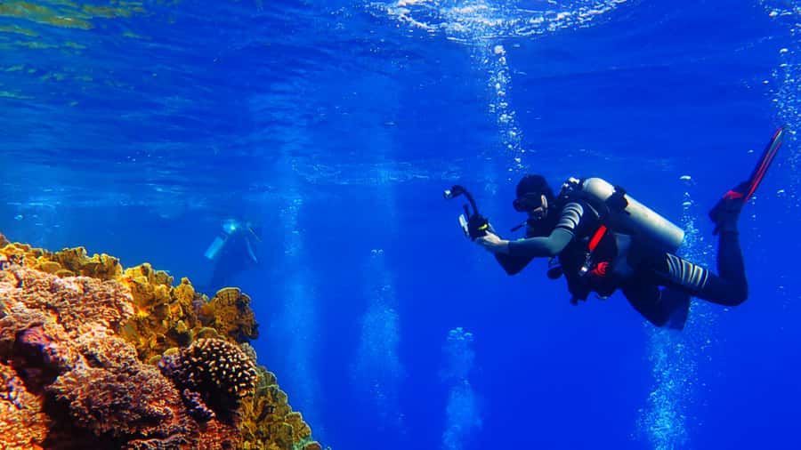 From Hurghada: Scuba Diving with Expert Guide & 2 Dives - Lunch, sun time, and the in-between hours that make it enjoyable