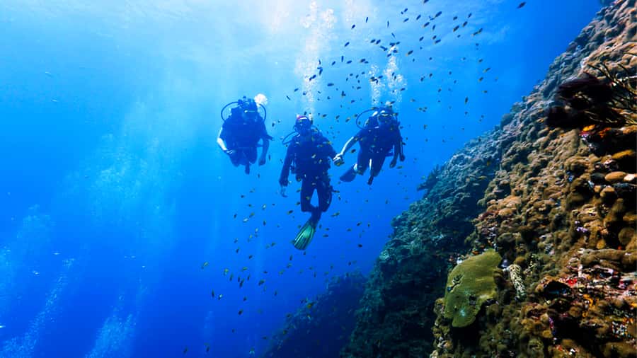 From Hurghada: Scuba Diving with Expert Guide & 2 Dives - Scuba gear and guide support: where this trip earns its money