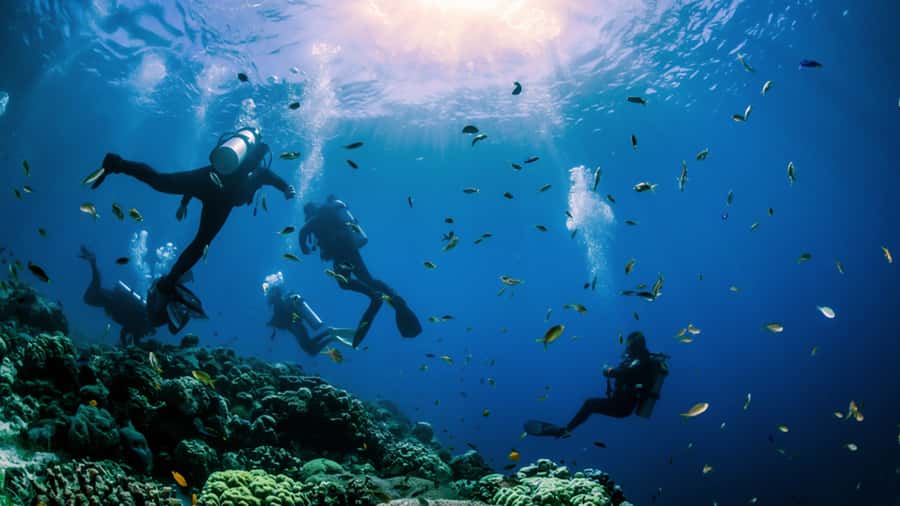 From Hurghada: Scuba Diving with Expert Guide & 2 Dives - Price check: is $88 a fair deal?