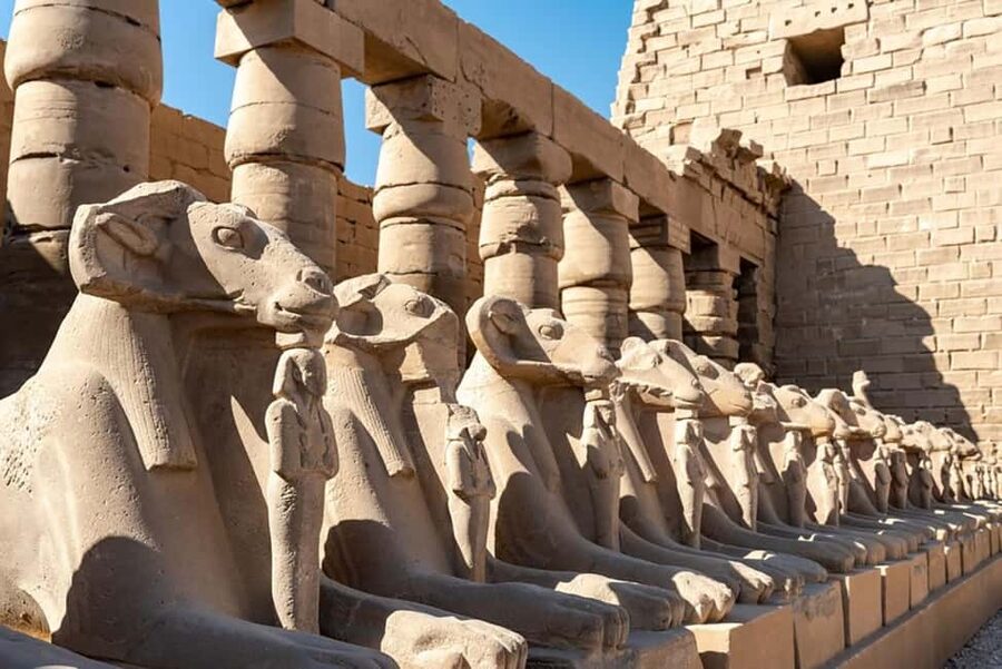 From Marsa Alam: Private Day Trip to Luxor by Car - Who this private Marsa Alam to Luxor day trip fits best