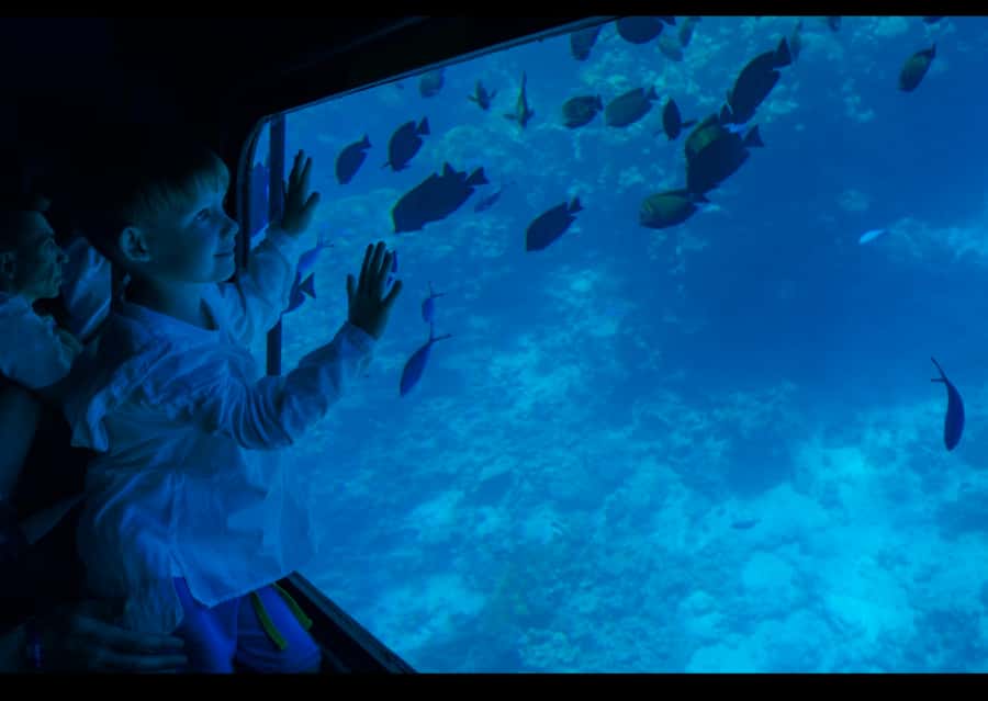 From Safaga: Royal Seascope Submarine with Snorkeling - What the Royal Seascope Semi-Submarine Really Gives You