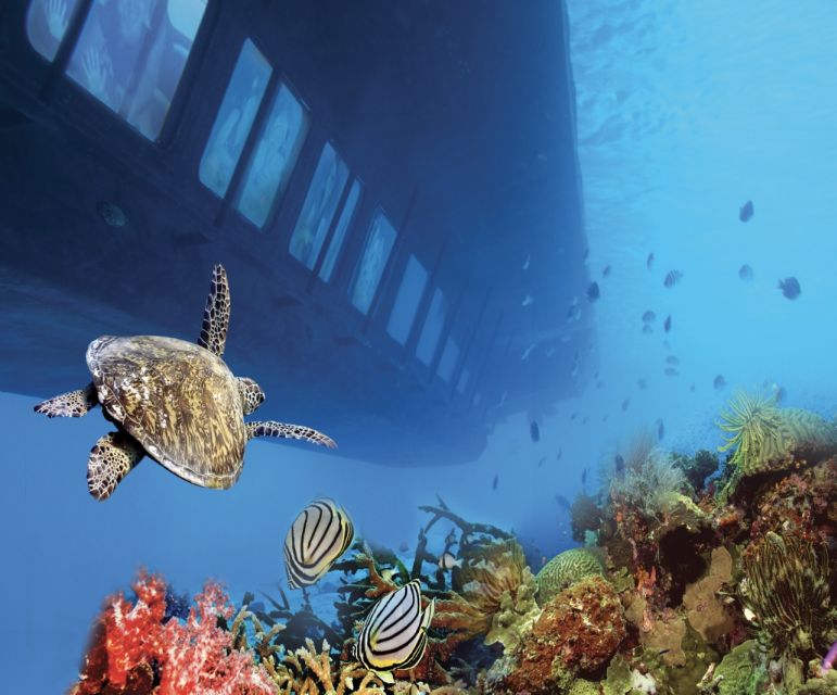 From Safaga: Royal Seascope Submarine with Snorkeling - Crew, Safety, and Comfort: The Human Side of the Trip