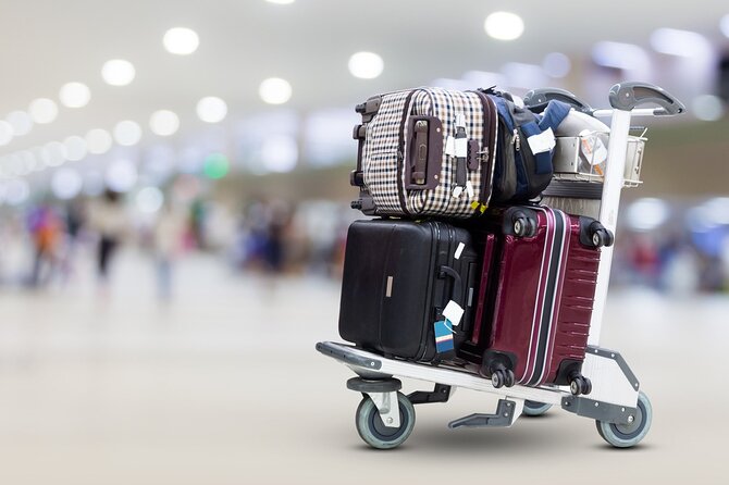 From Sharm El Sheikh Airport Private Transfer - Arrival Pickup at Sharm el Sheikh Airport, with an English-speaking rep