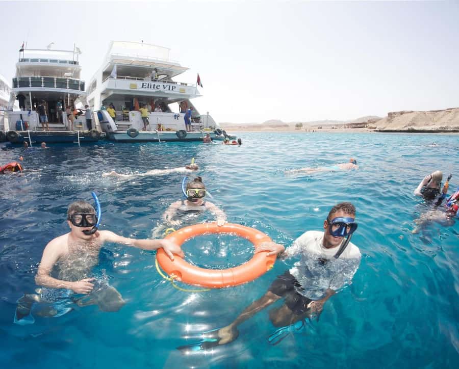 From Sharm: Half day Snorkeling Trip with Lunch - Optional Intro Scuba: Who It Fits and How to Decide