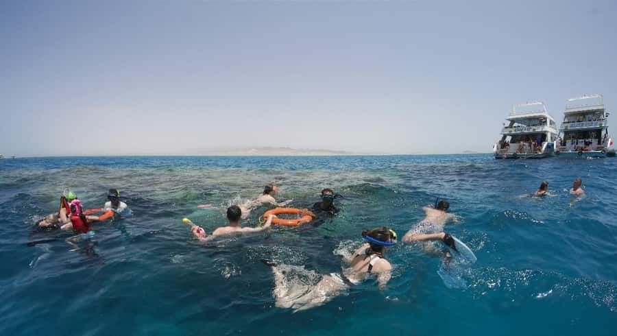 From Sharm: Half day Snorkeling Trip with Lunch - Who This Trip Suits Best (And Who Should Pick Another Style)