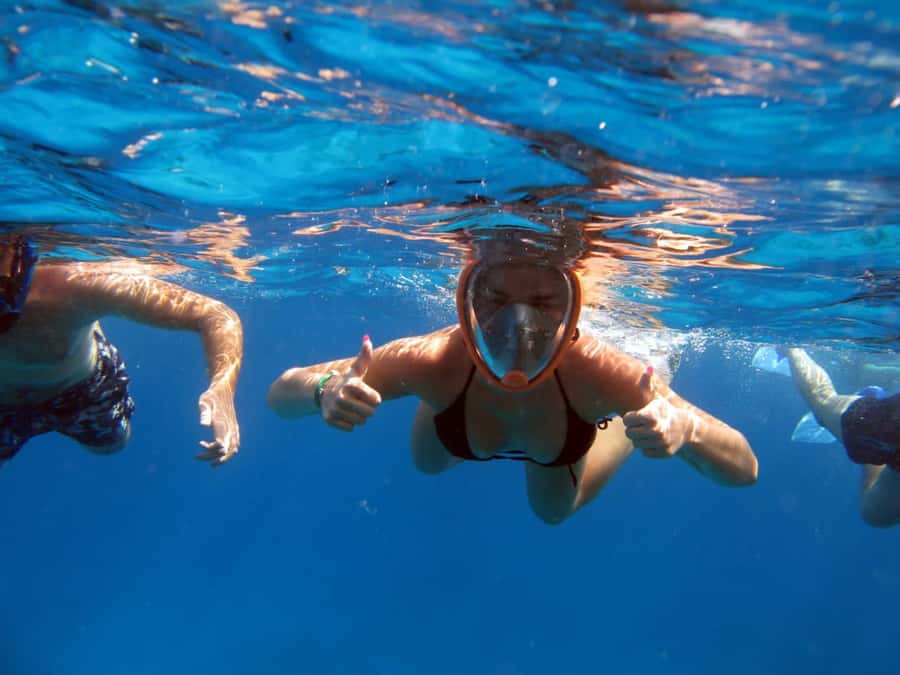 From Sharm: Half day Snorkeling Trip with Lunch - The 4-Hour Schedule, Including Pickup and Marina Timing