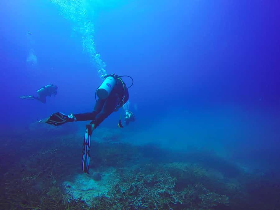 From Sharm: Luxury Diving cruise to Ras Mohammed with Lunch - Lunch and Unlimited Drinks: What to Expect Onboard