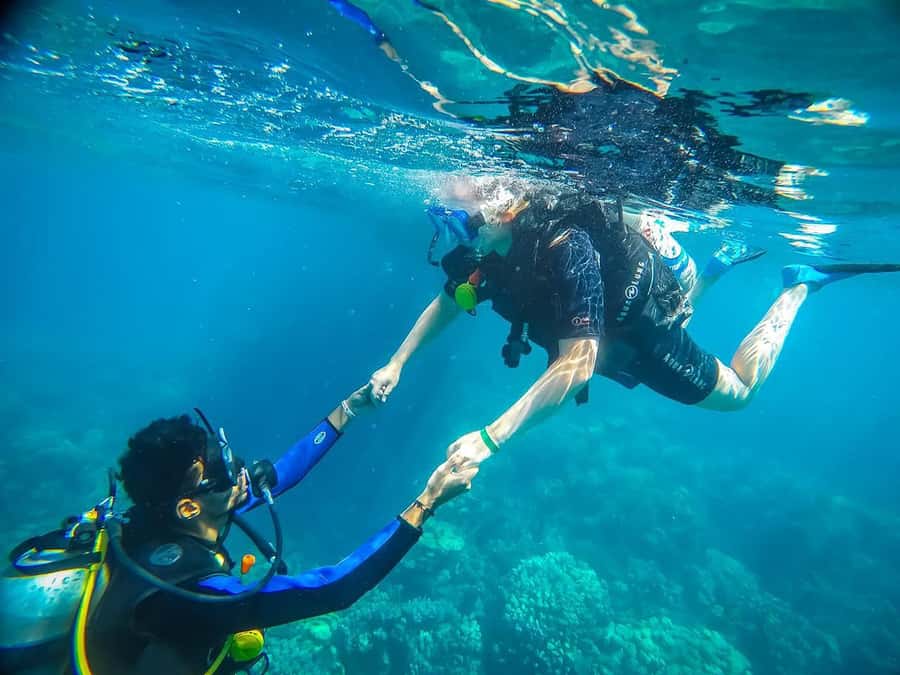 From Sharm: Luxury Diving cruise to Ras Mohammed with Lunch - The Sail Out: Scenic Time and What You’ll Notice Onboard