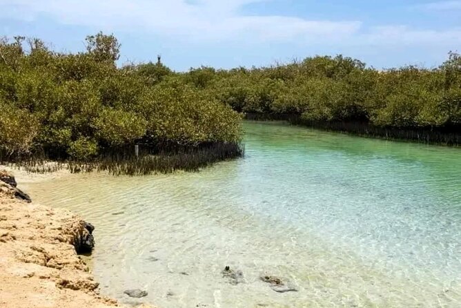 From Sharm: Ras Mohamed National Park and Magic Lake Day Tour - Guides on this tour: when the day clicks with Omar, Mario, Yassin, and Yacine