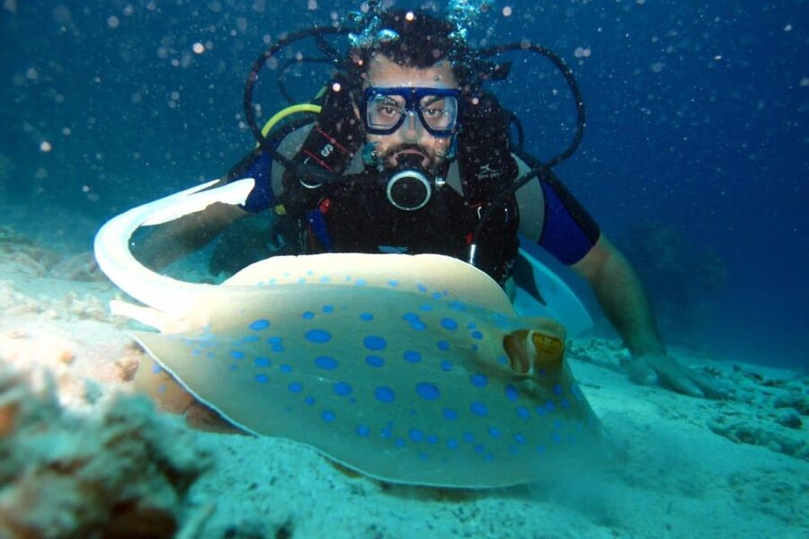 From Sharm: Ras Mohammed snorkeling cruise & optional diving - Who should book this Ras Mohamed cruise