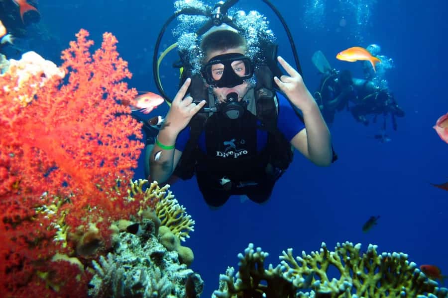 From Sharm: Ras Mohammed snorkeling cruise & optional diving - White Island: the cool-factor stop with one condition