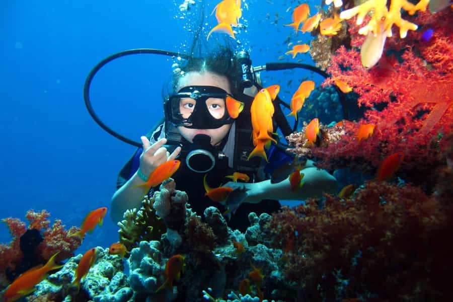 From Sharm: Ras Mohammed snorkeling cruise & optional diving - Lunch on the deck: good food, real break time
