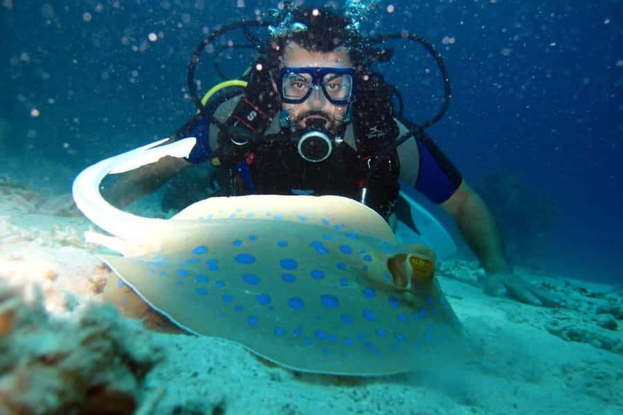 From Sharm: Ras Mohammed snorkeling cruise & optional diving - Optional scuba try-out: when it’s a plus, and when to temper expectations
