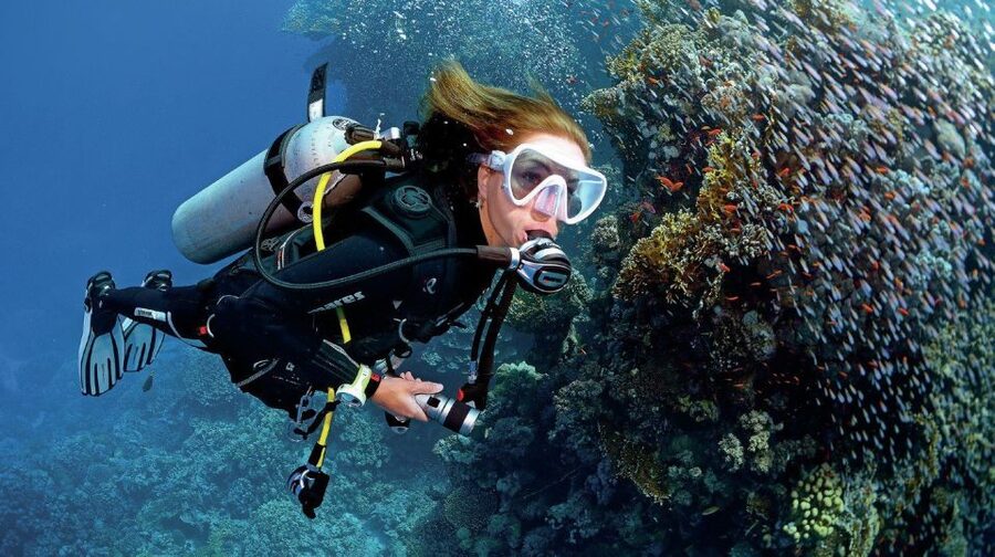 From Sharm: Ras Muhammed & White Island By Boat & intro Dive - Quick hits before you go