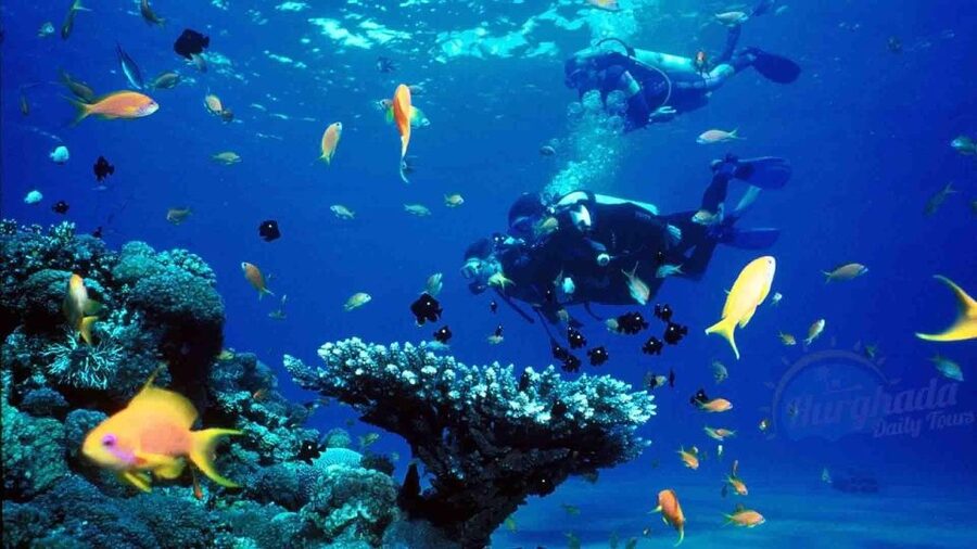 From Sharm: Ras Muhammed & White Island By Boat & intro Dive - Intro scuba for beginners: what the included session really means