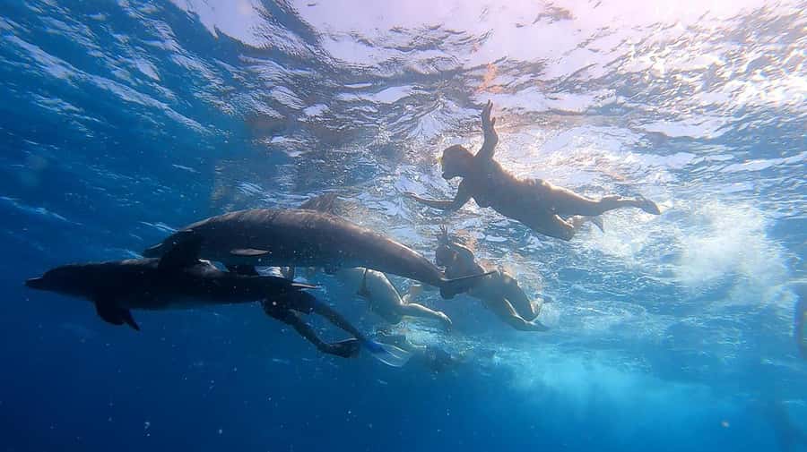 From Sharm: White Island and Ras Mohamed Snorkeling Trip - Lunch on deck and the Red Sea break that makes it feel relaxed