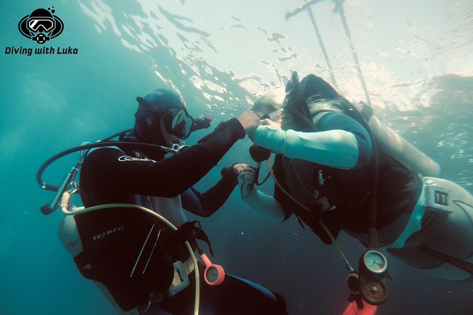 Full day diving with private guide, lunch drinks transportation - Key Things That Make This Tour Worth Your Time