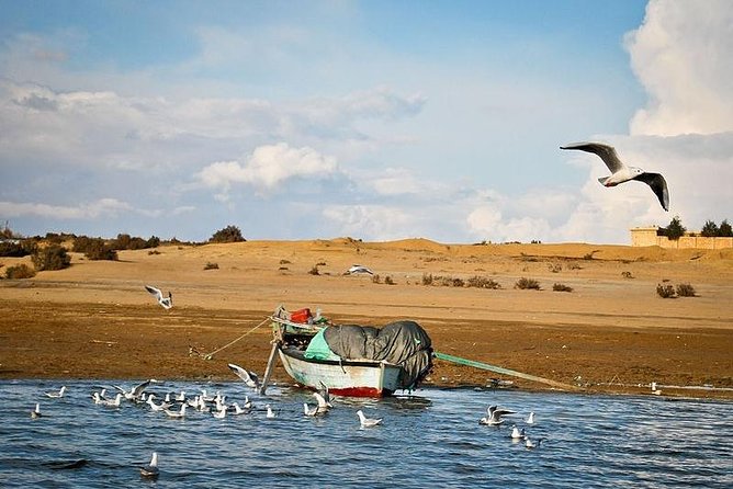 Full-Day Fayoum Oasis and Waterfalls of Wadi El-Rayan Tour from Cairo - Key highlights at a glance