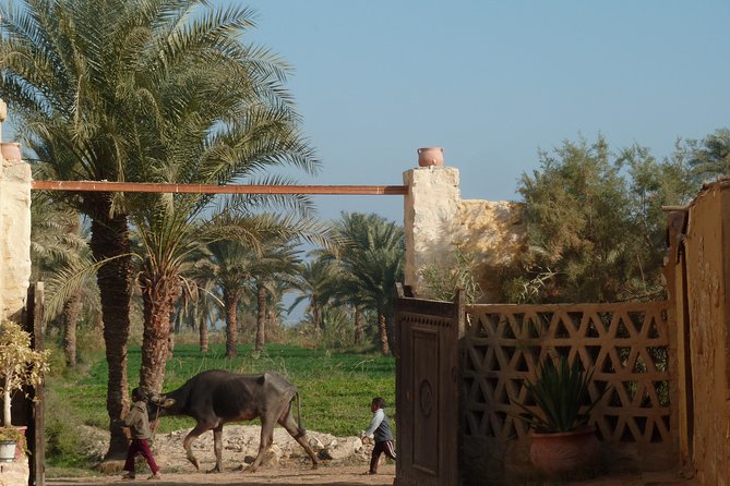Full-Day Fayoum Oasis and Waterfalls of Wadi El-Rayan Tour from Cairo - Lunch in Fayoum, built into the day so you do not lose momentum