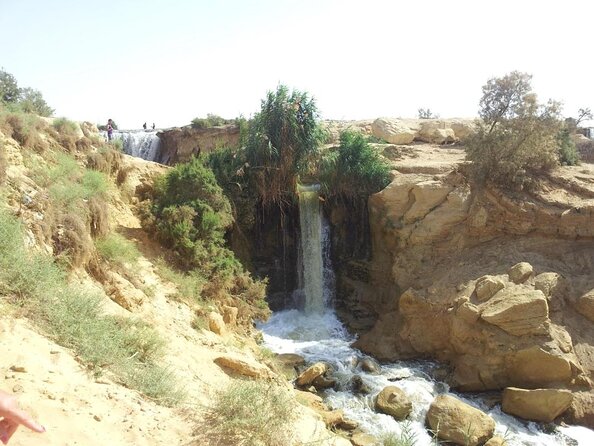 Full-Day Fayoum Oasis and Waterfalls of Wadi El-Rayan Tour from Cairo - Lake Qarun, Egypt’s third-largest lake, and the birds that make it special